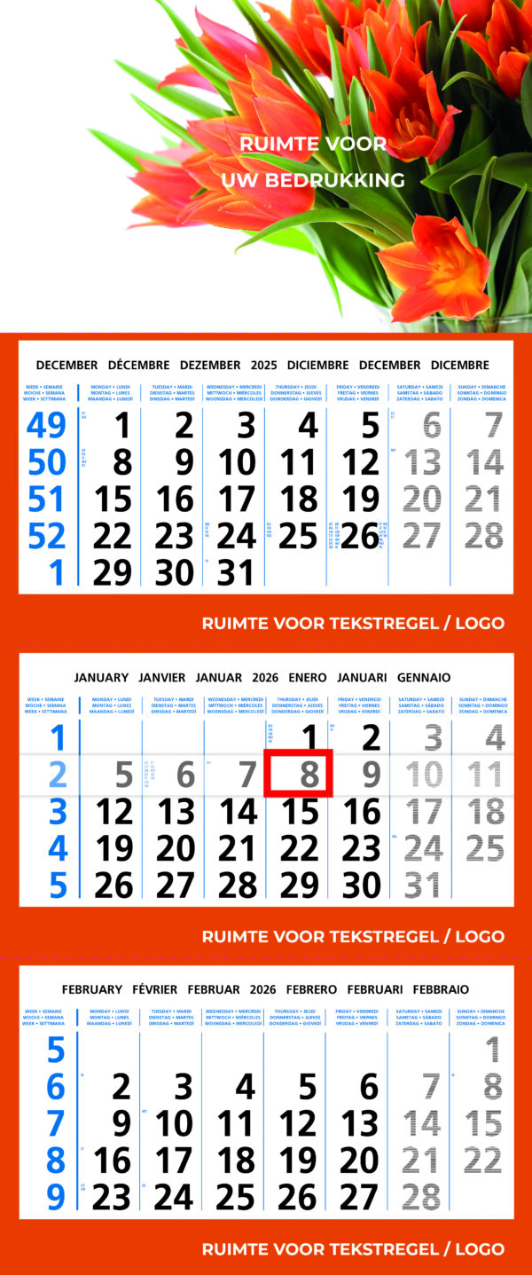 KD303 / Topper Extra - Afbeelding 2