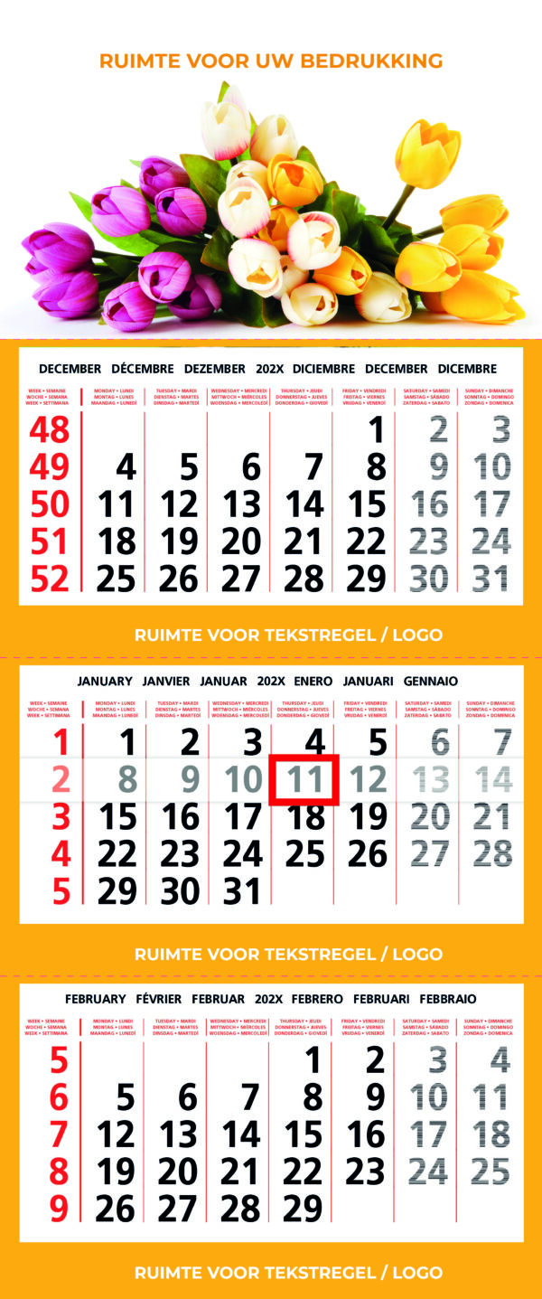KD303 / Topper Extra - Afbeelding 4