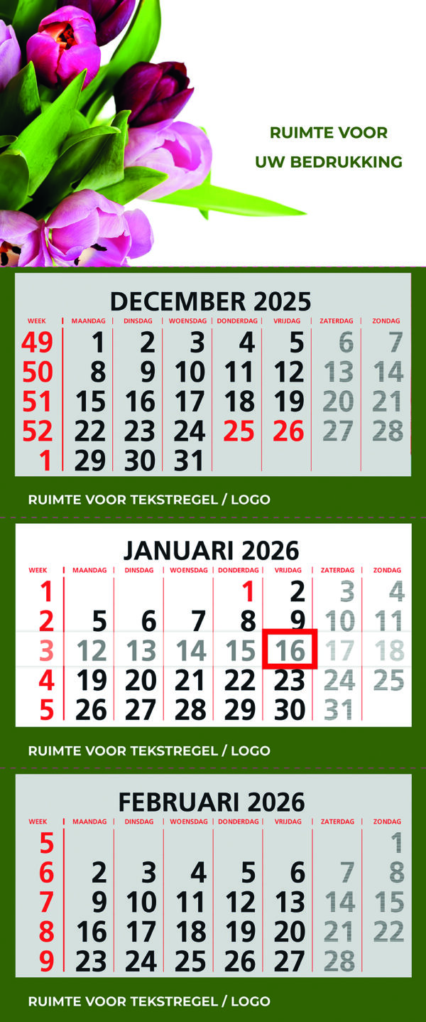 KD303 / Topper Extra - Afbeelding 5
